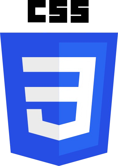 Programming languages used in software development