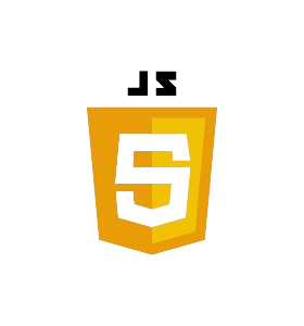 Programming languages used in software development